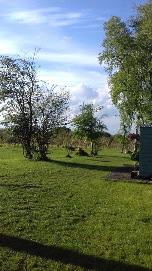 Hopgarden Glamping - Luxury 6M Bell Tent Wadhurst Bagian luar foto