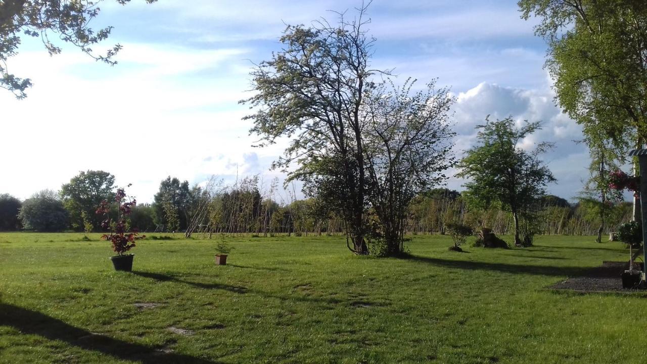 Hopgarden Glamping - Luxury 6M Bell Tent Wadhurst Bagian luar foto