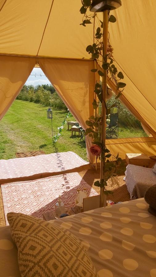 Hopgarden Glamping - Luxury 6M Bell Tent Wadhurst Bagian luar foto
