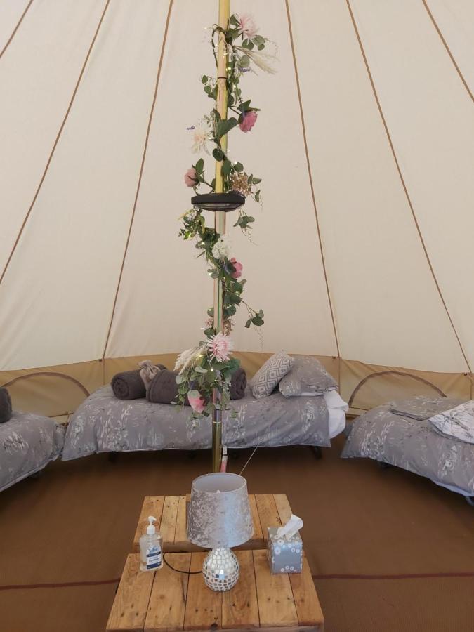 Hopgarden Glamping - Luxury 6M Bell Tent Wadhurst Bagian luar foto