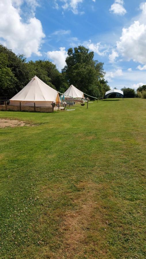 Hopgarden Glamping - Luxury 6M Bell Tent Wadhurst Bagian luar foto