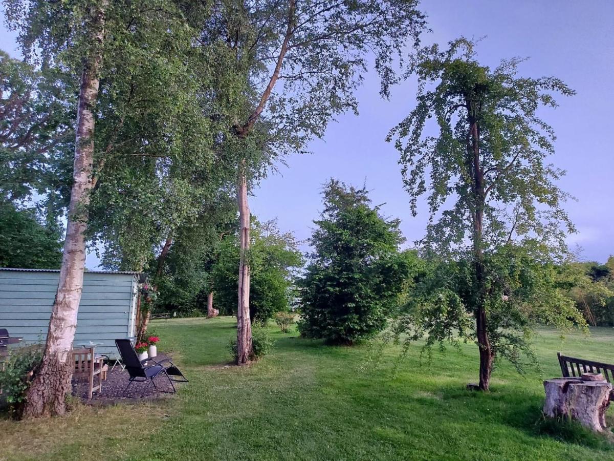 Hopgarden Glamping - Luxury 6M Bell Tent Wadhurst Bagian luar foto
