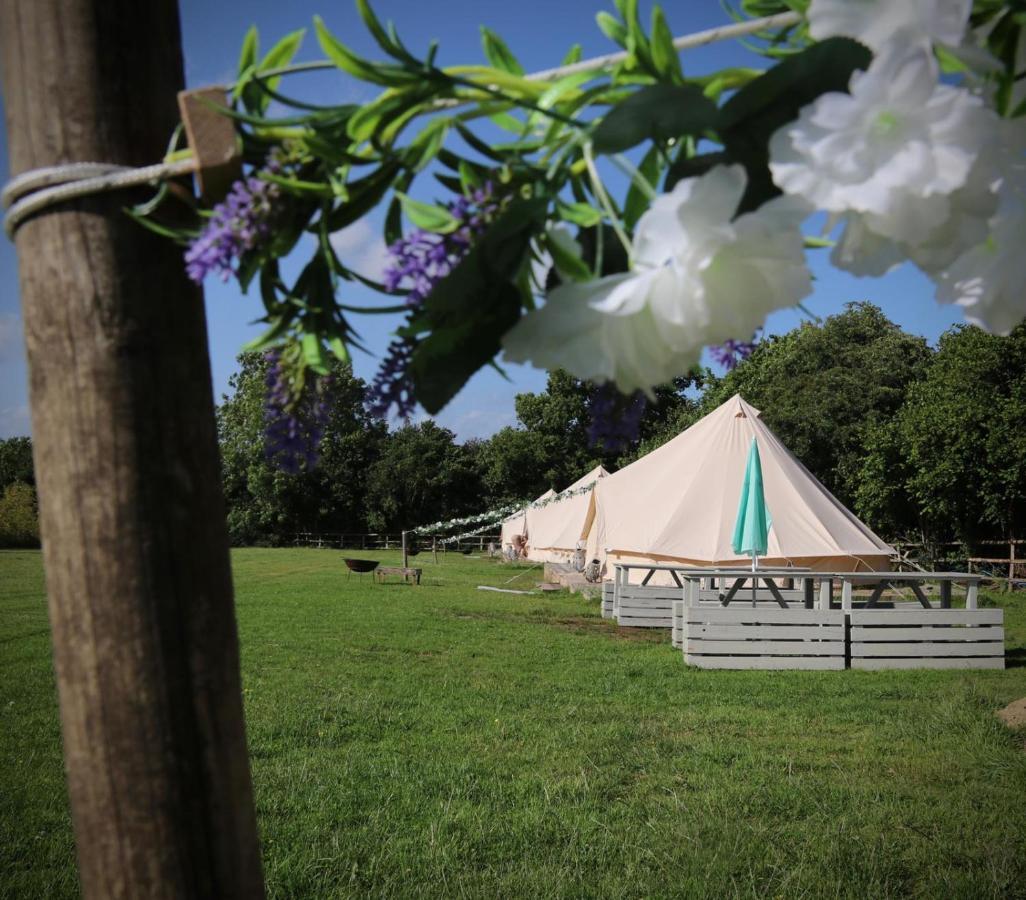 Hopgarden Glamping - Luxury 6M Bell Tent Wadhurst Bagian luar foto